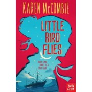 Karen McCombie: Little Bird Flies