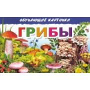 Обучающие карточки. Грибы