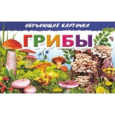 Обучающие карточки. Грибы Обучающие карточки. Грибы
