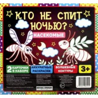 Кто не спит ночью? Насекомые Кто не спит ночью? Насекомые