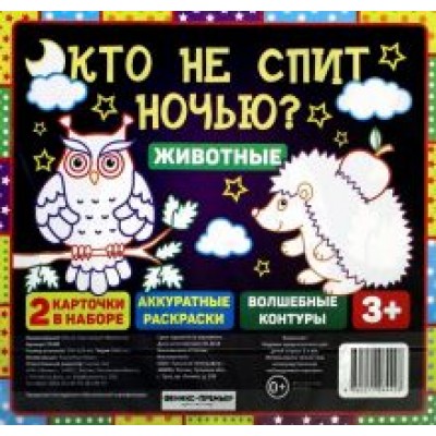 Кто не спит ночью? Животные Кто не спит ночью? Животные