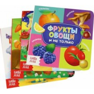 Евгения Сачкова: Знакомимся с окружающим миром. Набор из 4-х книг Евгения Сачкова: Знакомимся с окружающим миром. Набор из 4-х книг