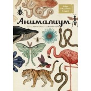 Дженни Брум: Анималиум