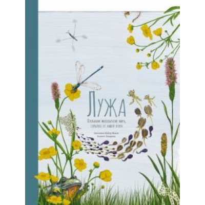 Ангелика Хубер-Яниш: Лужа. Открываем многообразие мира, скрытого от нашего взора Ангелика Хубер-Яниш: Лужа. Открываем многообразие мира, скрытого от нашего взора