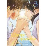 Синкай, Кубота: Дитя погоды. Том 3