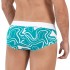 Бирюзовые трусы-брифы с принтом Dynamic Classic Brief Бирюзовые трусы-брифы с принтом Dynamic Classic Brief