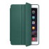 Чехол Smart Case для Ipad New (Ipad 7) - Сосновый Лес (19) Чехол Smart Case для Ipad New (Ipad 7) - Сосновый Лес (19)