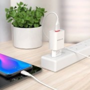 Сетевой адаптер Borofone BA20A Sharp single port charger Type-C (EU) - Белый