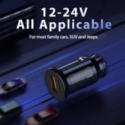 Автомобильное зарядное устройство Remax Chanyo Seies 30W PD+QC Multi-compatible Fast Car Charger RCC-231 - Black