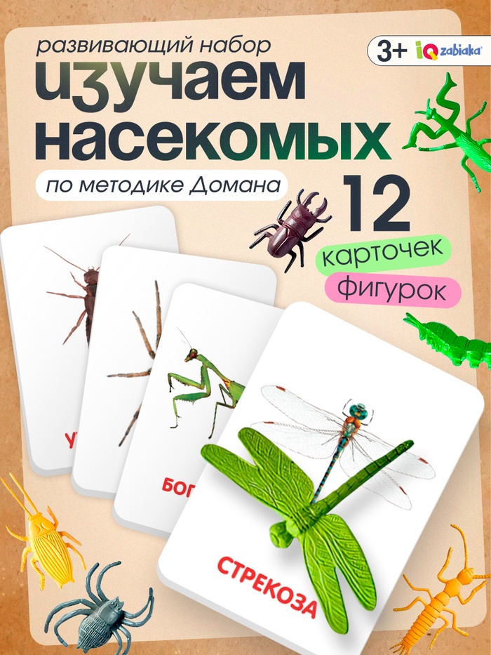 Развивающий набор с карточками «Мир насекомых», по методике Домана Развивающий набор с карточками «Мир насекомых», по методике Домана