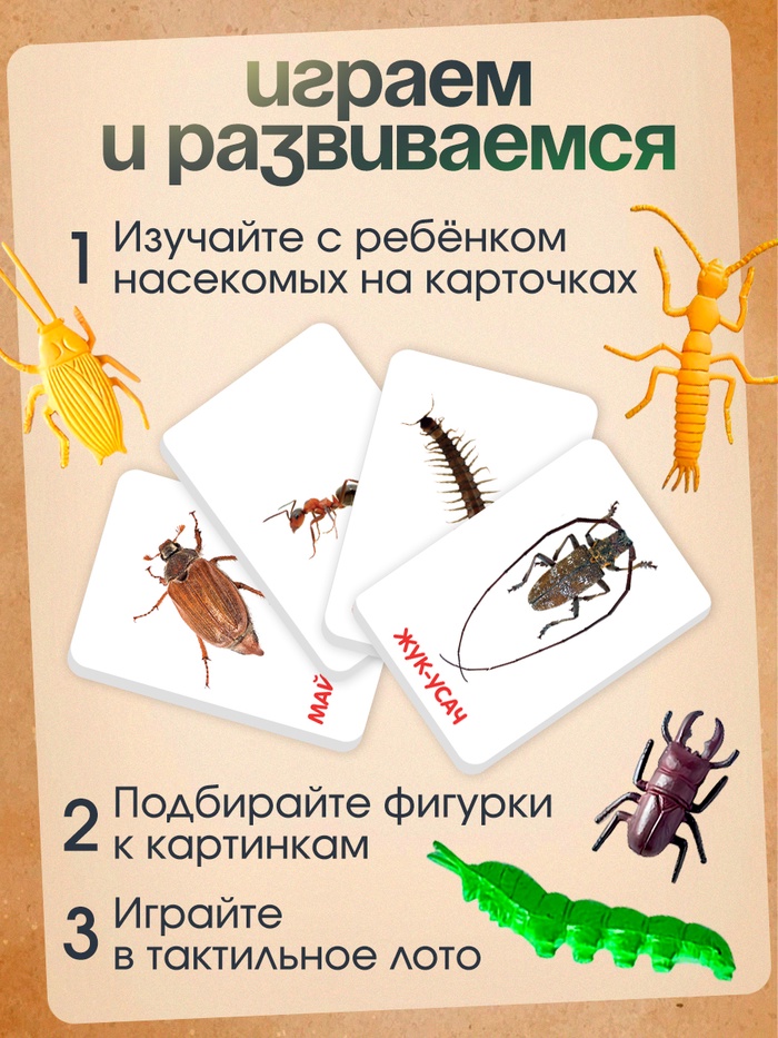 Развивающий набор с карточками «Мир насекомых», по методике Домана Развивающий набор с карточками «Мир насекомых», по методике Домана