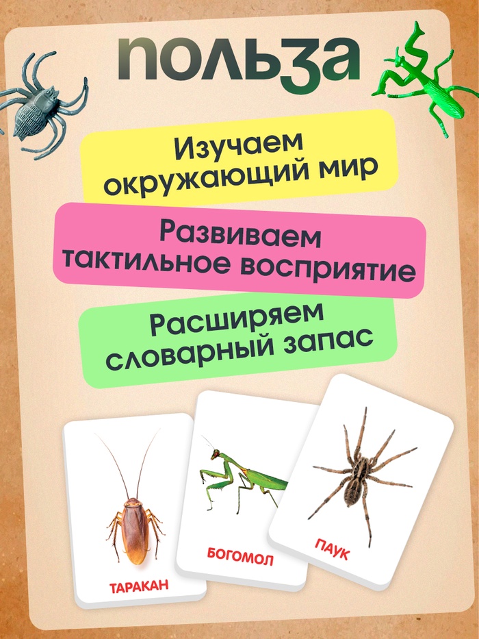 Развивающий набор с карточками «Мир насекомых», по методике Домана Развивающий набор с карточками «Мир насекомых», по методике Домана